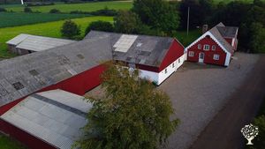 Animal refuge with small homestead organic vegetable and fruit production