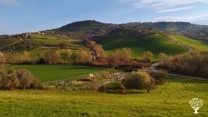 Azienda agricola