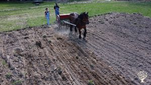 Trying to get Self sufficient