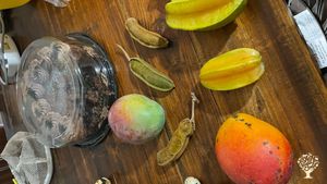 Exotic tropical farm located 10 minutes from Everglades National Park