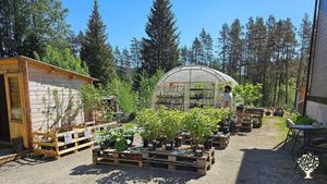 Organically certified marketgarden, with small horticulture, vegetable, herb and flowers no dig