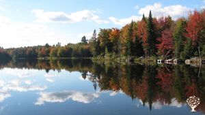 Groupe de vie communautaire, Maison familiale et jardin - rural, Bois, Remote study opportunities