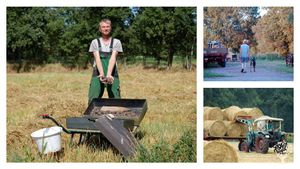 Rainer bei der Kartoffelernte und beim Aufladen von Strohballen nach der Getreideernte.
