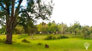 Family home and garden - rural, Eco Lodge/Wilderness Adventures, Fruit tree nursery, Mixed Farm