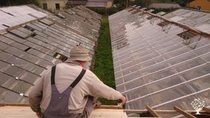 Gärtnerei - Gemeinschaft - Community supportet agriculture - SoLawi
