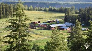 Family run ranch -  Homesteading, Cattle, Horses, pigs, chickens, turkeys, gardening, and milk cows