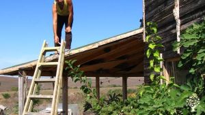 Community permaculture project and educational centre. Family homestead