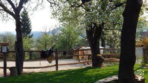Ranch