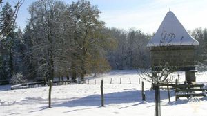 Ferme d'élevage biologique de vaches et brebis