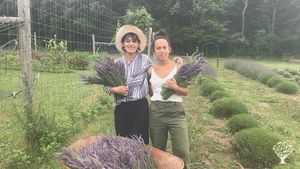 Lavender farm 💜 in semi-rural area of NJ, 1 hour from NYC