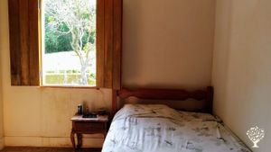 Learn bioconstruction and reconnect with nature in a peaceful homestead.