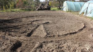 Permaculture and language practice in the Maramures region