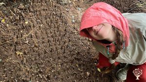 We started our coffee journey six months ago with 14K seeds. Now, we have a carpet of seedlings here