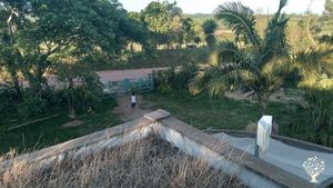 Little farm collective of 8 to 12 persons between children and adults