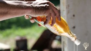 Domaine viticole Bio/Nature nous développons une agriculture régénérative par l' agro-foresterie .
