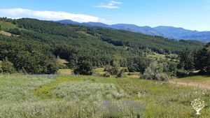 Piccola azienda agricola sull'appennino che coltiva, raccoglie e distilla piante officinali