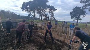 Small holding - organic vegetable garden with fruit tree nursery