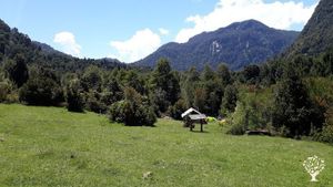 Family farm
