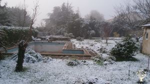 Jardin de plantes sauvages + qlqs fleurs comestibles + qlqs condimentaires et médicinales