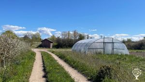 The greenhouse and the pump house in the back.