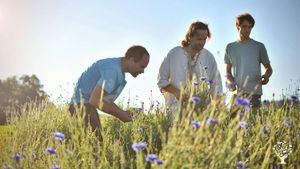 Bylinková škola Desky- Herbal school near the sky