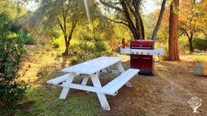 BBQ picnic area outside
