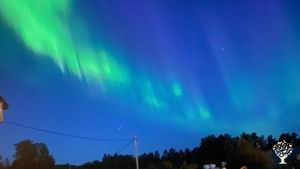 Small organic farm in the home of Swedish Lapland