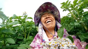 <CN122>평화의 노래가 울려퍼지는 농장 / A Farm Where the Song of Peace Resonates