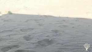 Azienda Agricola biodinamica