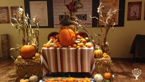 Registered Organic smallholding