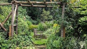 Family home and garden - rural, farm