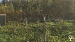 Organis vegetable garden en orchard in   in Flevoland