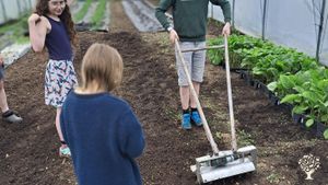 Organic Fruits et Vegetables . Transformation et Conserves