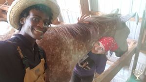 Educational Centre, Agritourism Destination, Homestead, Hobby Farm, Eco Retreat, Horse Ranch