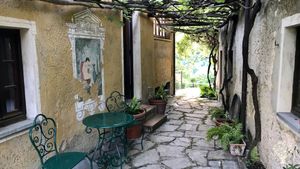 Small farmstead in the hills above Viareggio, growing organic produce and olive trees