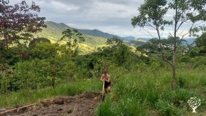 🌿Sustainable living center in the Amazon, learn permaculture & syntropic agriculture in the jungle.