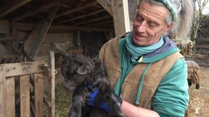 Family home and garden - rural