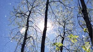 Welcome to Briden Farm, our Regenerative Homesteading Farm in Bear River, Nova Scotia