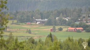 Family farm - farmhouse in Hälsingbland near lakes. Berries, vegatables & chickens.