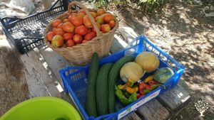 Fattoria in via di autosufficienza, all'interno del Parco di Frasassi e Gola della Rossa