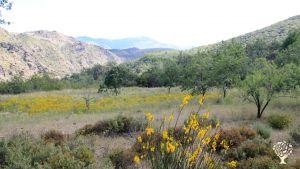 Agritourism Destination