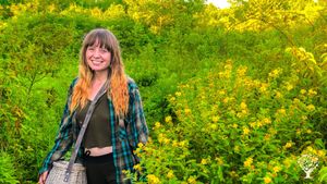 Shrubby Saint John's Wort is one of the wild medicinal herbs indigenous to this landscape.