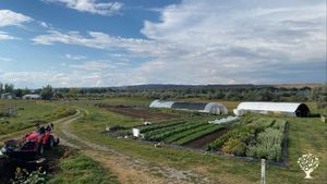 One-acre market garden