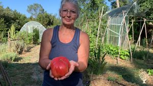 Permaculture vegetable garden