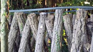 <JJ129>예술과 치유의 농장 / A Sanctuary of Art and Healing