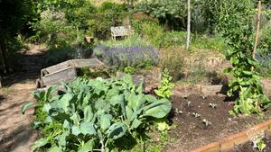 Cultivamos hortalizas para consumo propio y tenemos un jardín bastante grande.