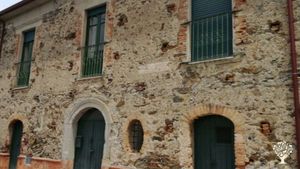 Coltiviamo limoni, arance tardive ed ulivi da olio, secondo principi di agroecologia e permacultura