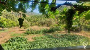 Alternative co-operative community,  Eco farming, Family farm.