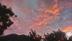 Huerta de vegetales, cultivo de aguacates🥑 y aceite