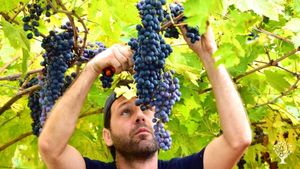 Piccola realtà che produce vini naturali della Valpolicella in Lessinia